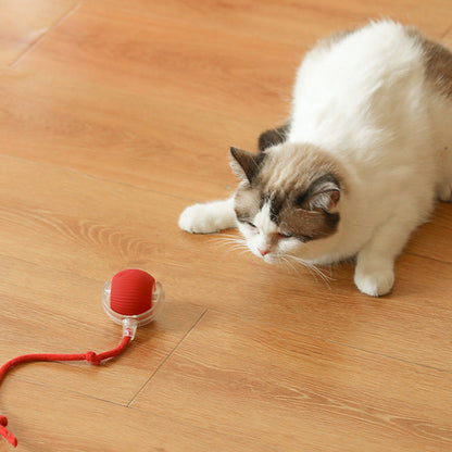 【🥰 begränsat erbjudandepris 】🐱🐶 Intelligent automatisk rullende ball for kjæledyr